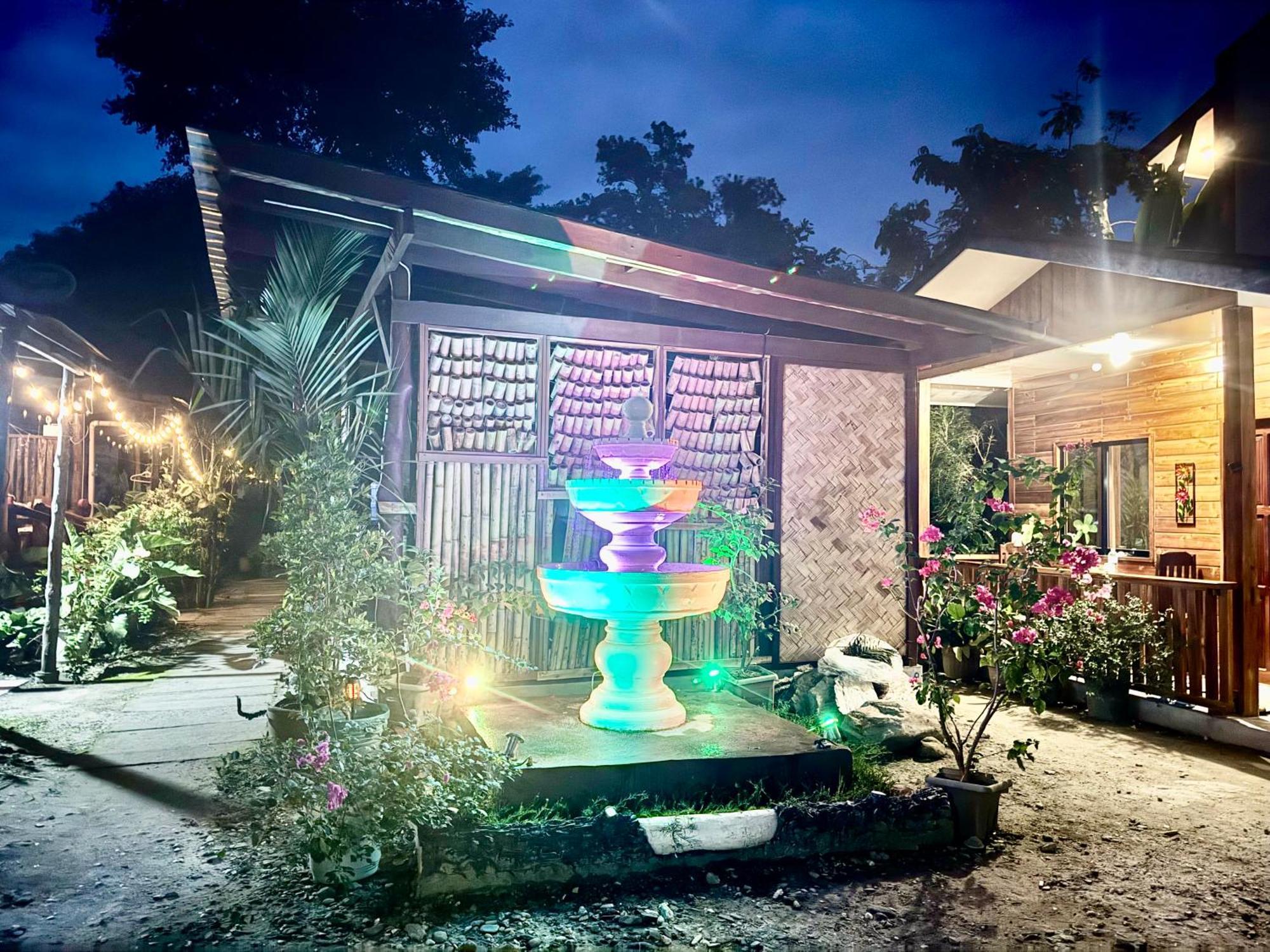 Theresa'S Pension House San Vicente  Esterno foto
